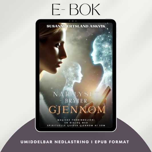 Ebok - Når lyset bryter gjennom